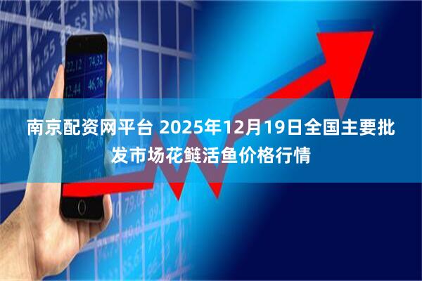 南京配资网平台 2025年12月19日全国主要批发市场花鲢活鱼价格行情