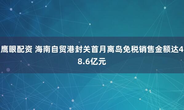 鹰眼配资 海南自贸港封关首月离岛免税销售金额达48.6亿元